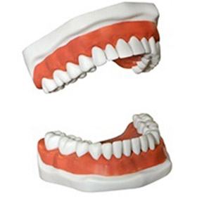Loose Dentures