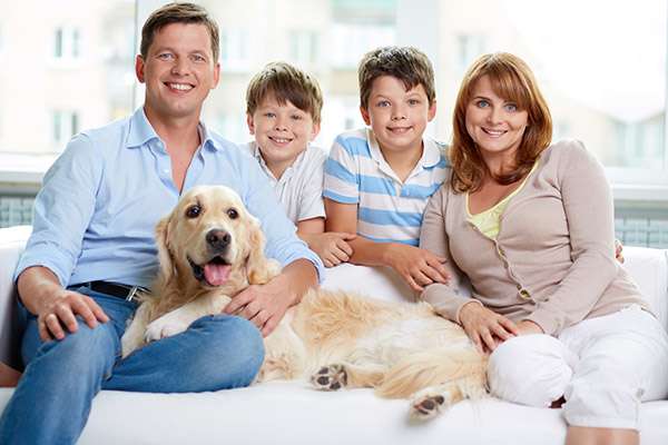 Why Choose One Family Dentist for Everyone in Your Family from Roderick A. Garcia, DMD PC in Albuquerque, NM